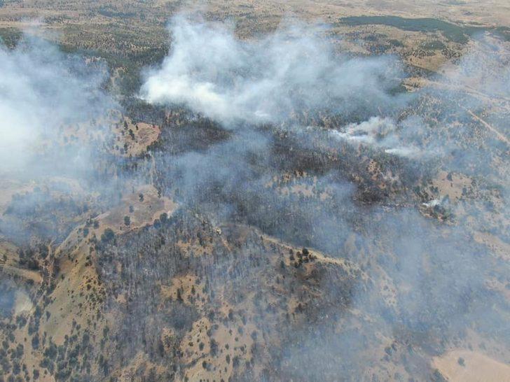GÜNCELLEME - Erzincan'da ormanlık alanda çıkan yangın söndürüldü G3