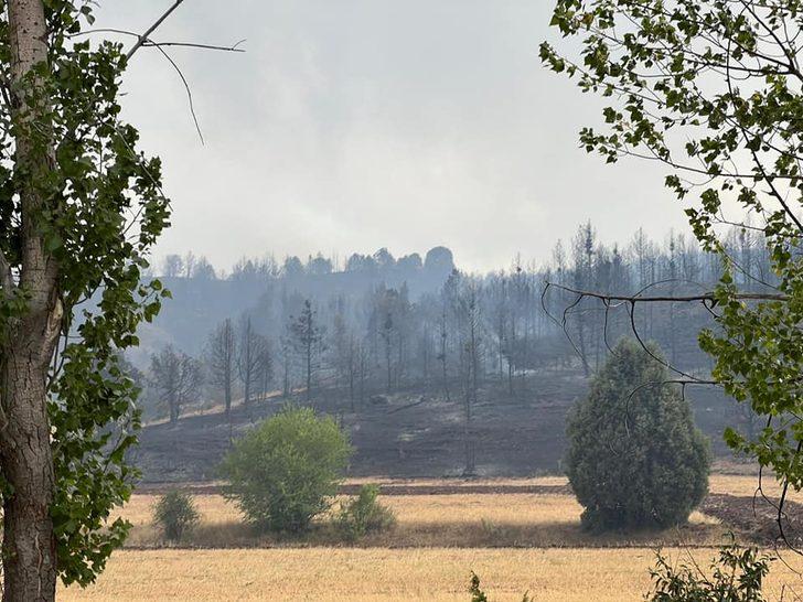 GÜNCELLEME - Erzincan'da ormanlık alanda çıkan yangın söndürüldü G4