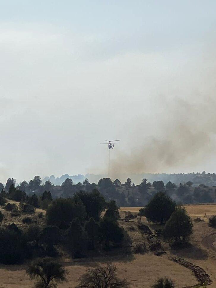 GÜNCELLEME - Erzincan'da ormanlık alanda çıkan yangın söndürüldü G5