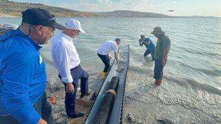 Kayseri'deki baraj ve göletlere 2 milyon sazan yavrusu bırakıldı