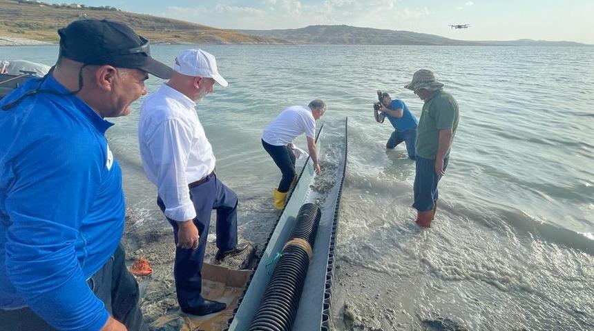 Kayseri'deki baraj ve göletlere 2 milyon sazan yavrusu bırakıldı