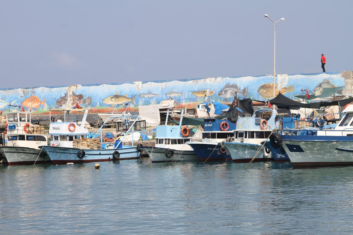 Batı Karadeniz'de balık fiyatları d&uuml;şt&uuml;