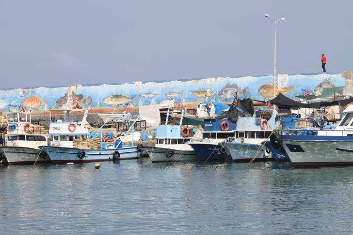 Batı Karadeniz'de balık fiyatları düştü G1