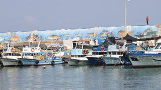Batı Karadeniz'de balık fiyatları düştü