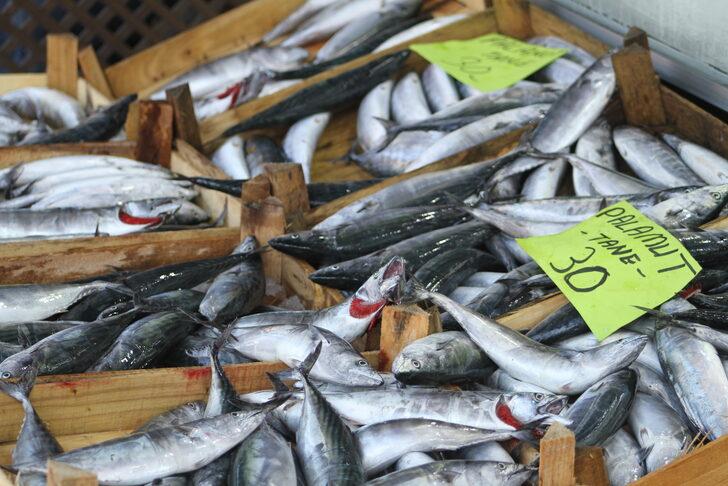 Batı Karadeniz'de balık fiyatları düştü G2