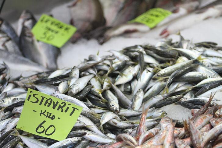 Batı Karadeniz'de balık fiyatları düştü G4