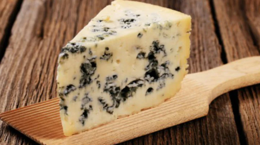 Enfeksiyonlara antibiyotik kadar etkili! Küflü peynirin faydaları duyanları şaşırtıyor