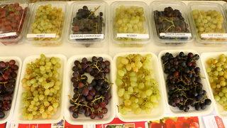 Tekirdağ'da Bağ Bozumu Şenliği düzenlendi