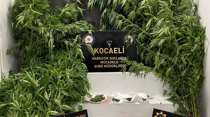 Kocaeli'de uyuşturucu operasyonunda yakalanan 22 şüpheliden 7'si tutuklandı