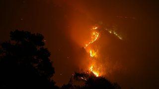 Çanakkale’deki orman yangını: 30 hektar orman kül oldu
