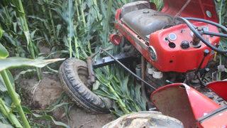 İzmir'de tarım işçilerini taşıyan traktörle kamyon çarpıştı, bir kişi öldü, 13 kişi yaralandı