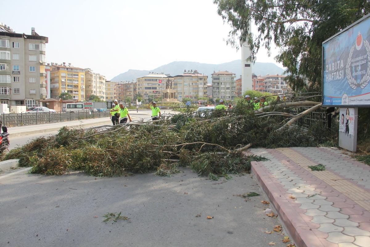 Hatay'da devrilen ağacın altında kalan motosikletteki 2 kişi yaralandı