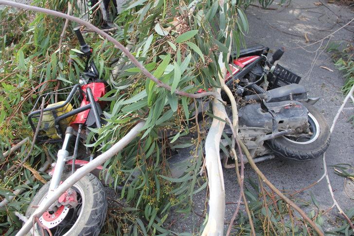 Hatay'da devrilen ağacın altında kalan motosikletteki 2 kişi yaralandı G2