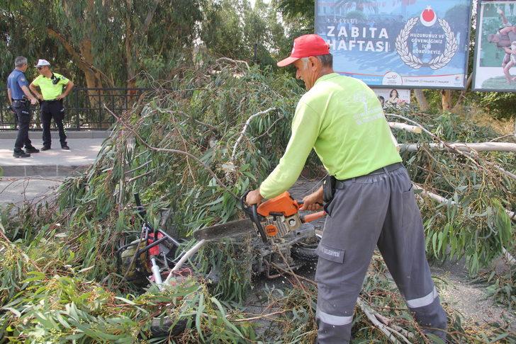 Hatay'da devrilen ağacın altında kalan motosikletteki 2 kişi yaralandı G3