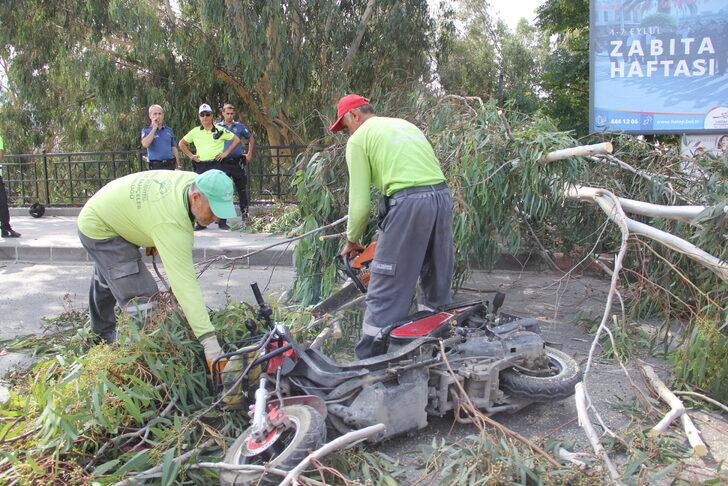 Hatay'da devrilen ağacın altında kalan motosikletteki 2 kişi yaralandı G4