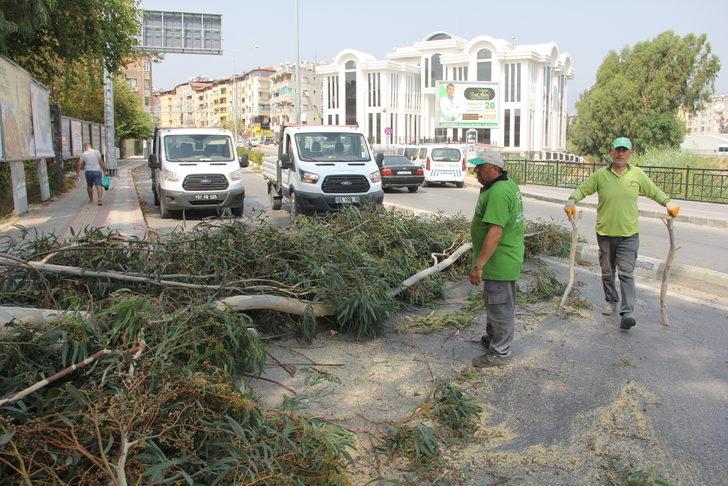 Hatay'da devrilen ağacın altında kalan motosikletteki 2 kişi yaralandı G5