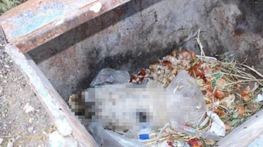 At kafası gerçeği ortaya çıkardı! Lokantaya 16 bin lira ceza