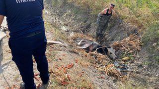 Hatay'da bataklığa saplanan ineği itfaiye kurtardı