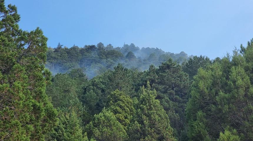 GÜNCELLEME - Isparta'da çıkan orman yangını kontrol altına alındı