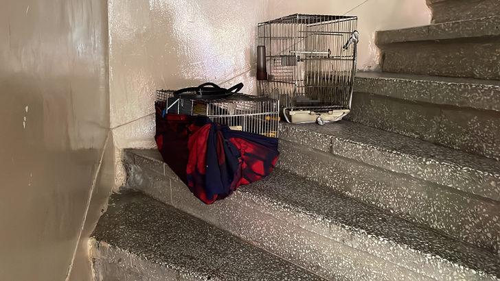 İstanbul'da çıkan yangında bir daire kullanılamaz hale geldi G2