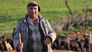 Atanamayan öğretmen çoban oldu