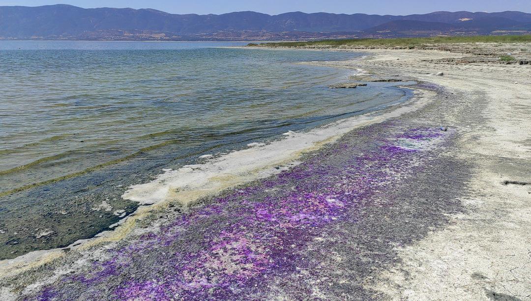 T&uuml;rkiye'nin 7'nci b&uuml;y&uuml;k g&ouml;l&uuml;! Burdur G&ouml;l&uuml; sahili mor renge b&uuml;r&uuml;nd&uuml;