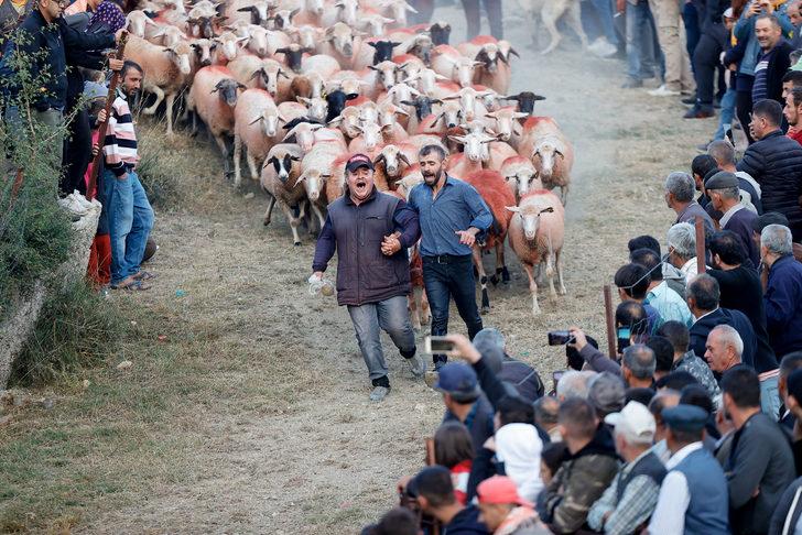 Burdur'da "sudan koyun geçirme" yarışması yapıldı G2