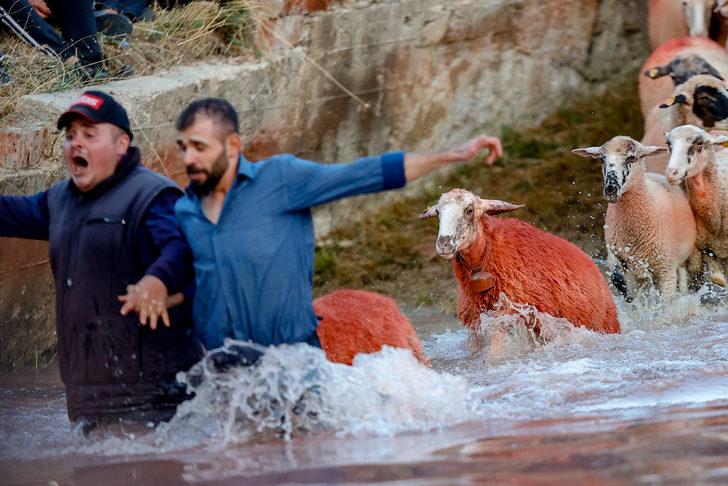 Burdur'da "sudan koyun geçirme" yarışması yapıldı G3