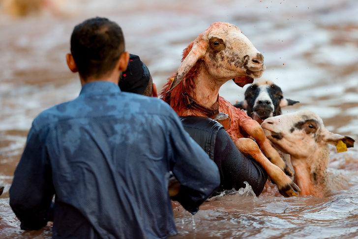 Burdur'da "sudan koyun geçirme" yarışması yapıldı G5