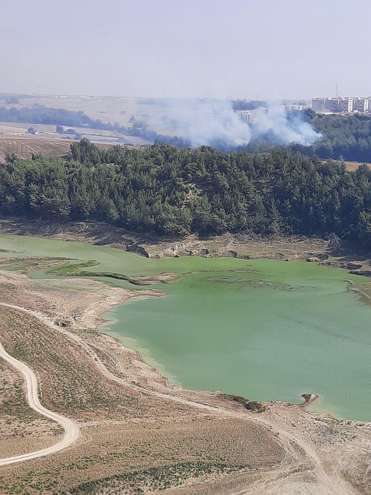 Adana'da ağa&ccedil;lık alanda &ccedil;ıkan yangın kontrol altına alındı
