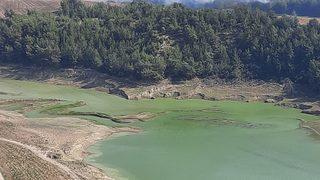 Adana'da ağaçlık alanda çıkan yangın kontrol altına alındı