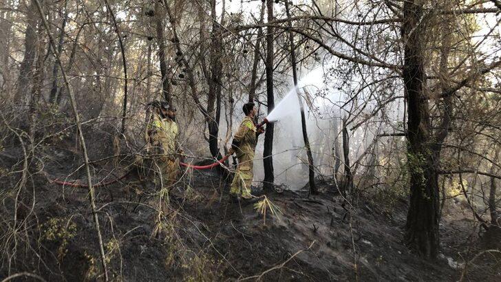 Adana'da ağaçlık alanda çıkan yangın kontrol altına alındı G3