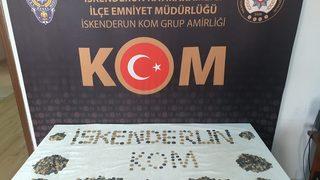 Hatay'da 4 bin 500 sikke ele geçirildi
