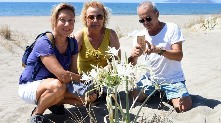Görenler hemen fotoğrafını çekiyor! Koparmanın cezası ise dudak uçuklatıyor