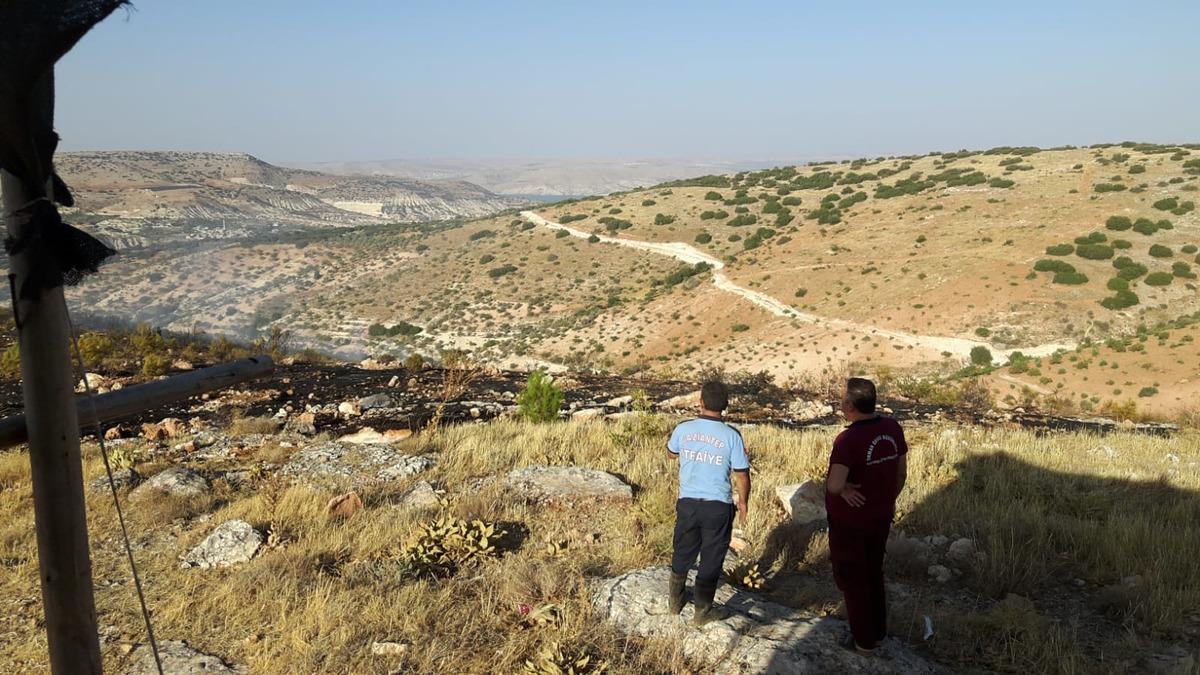 Gaziantep'te ağa&ccedil;lık alanda &ccedil;ıkan &ouml;rt&uuml; yangını s&ouml;nd&uuml;r&uuml;ld&uuml;