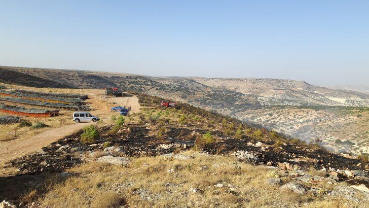 Gaziantep'te ağaçlık alanda çıkan örtü yangını söndürüldü G2