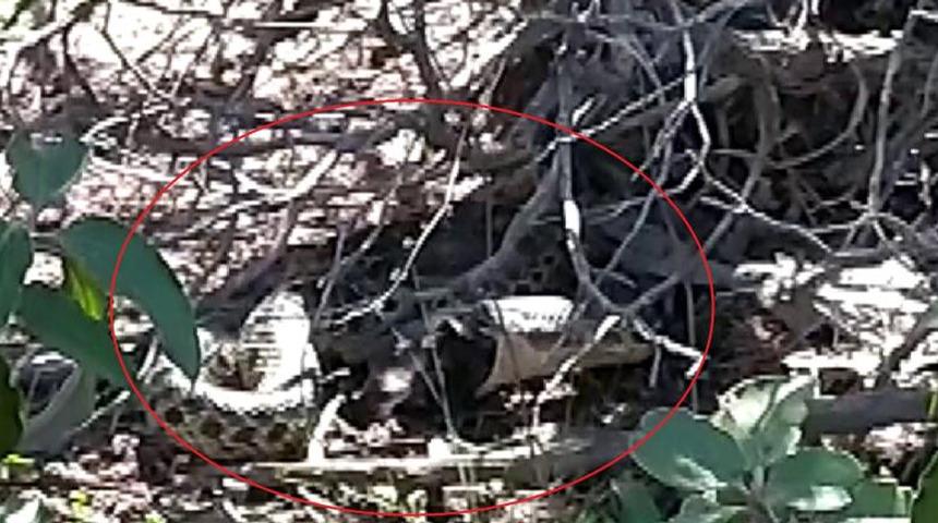 Yer: Sivas! Duyduğu sese yöneldi, görünce şaşkına döndü: O esnada feryatlarını duydum