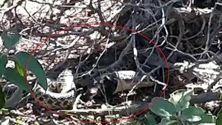 Yer: Sivas! Duyduğu sese yöneldi, görünce şaşkına döndü: O esnada feryatlarını duydum