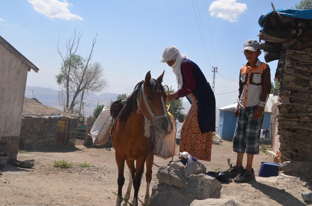 Muş'ta berivanlar hayvanlarını sağmak i&ccedil;in at sırtında kilometrelerce yol kat ediyor