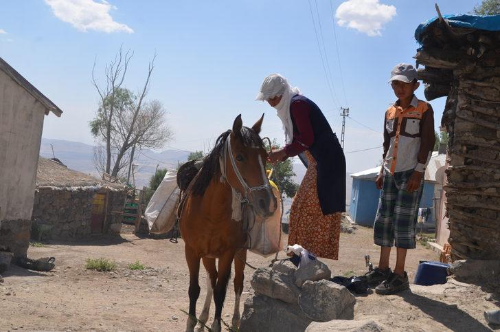 Muş'ta berivanlar hayvanlarını sağmak için at sırtında kilometrelerce yol kat ediyor G1
