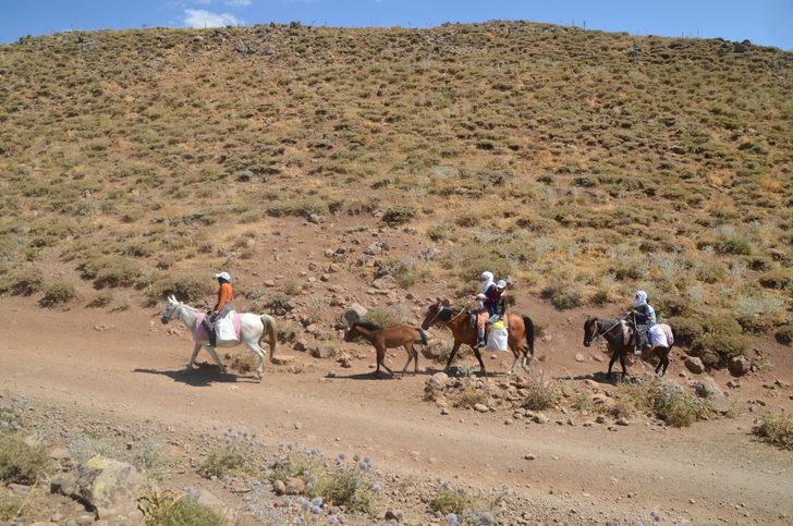 Muş'ta berivanlar hayvanlarını sağmak için at sırtında kilometrelerce yol kat ediyor G3