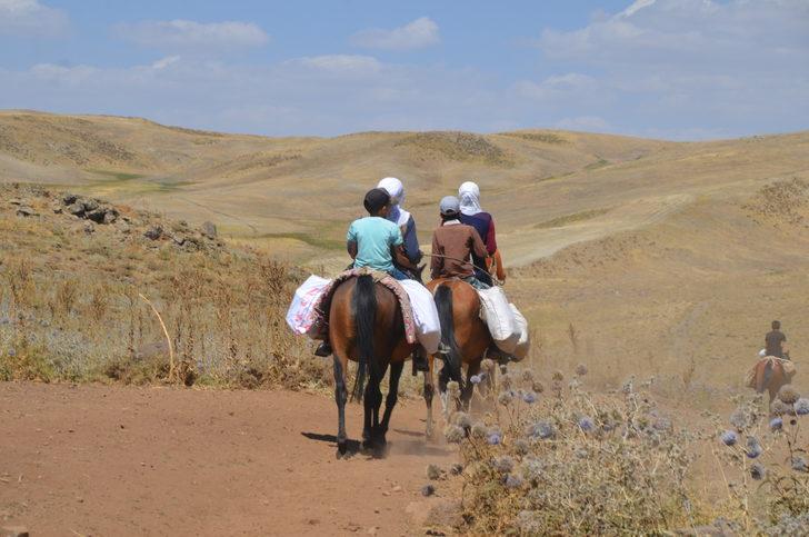 Muş'ta berivanlar hayvanlarını sağmak için at sırtında kilometrelerce yol kat ediyor G4