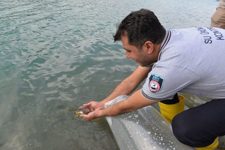 Kahramanmaraş'ta baraj ve göletlere 1 milyon 489 bin sazan yavrusu bırakıldı G2
