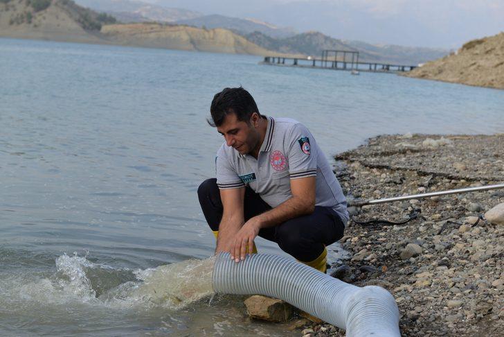 Kahramanmaraş'ta baraj ve göletlere 1 milyon 489 bin sazan yavrusu bırakıldı G3