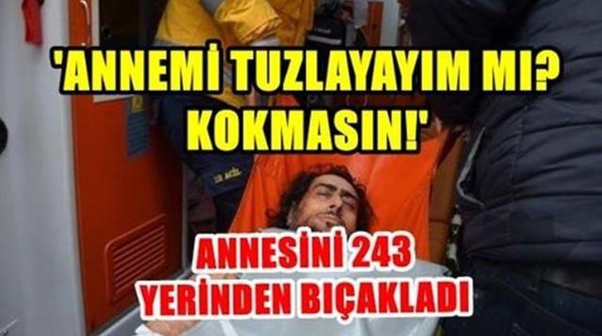 Annesini 243 Yerinden Bı&ccedil;aklayıp Delik Deşik Eden Zanlıya Ceza Verilmedi!