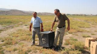 Kayseri'de tedavileri tamamlanan 6 leylek doğaya salındı