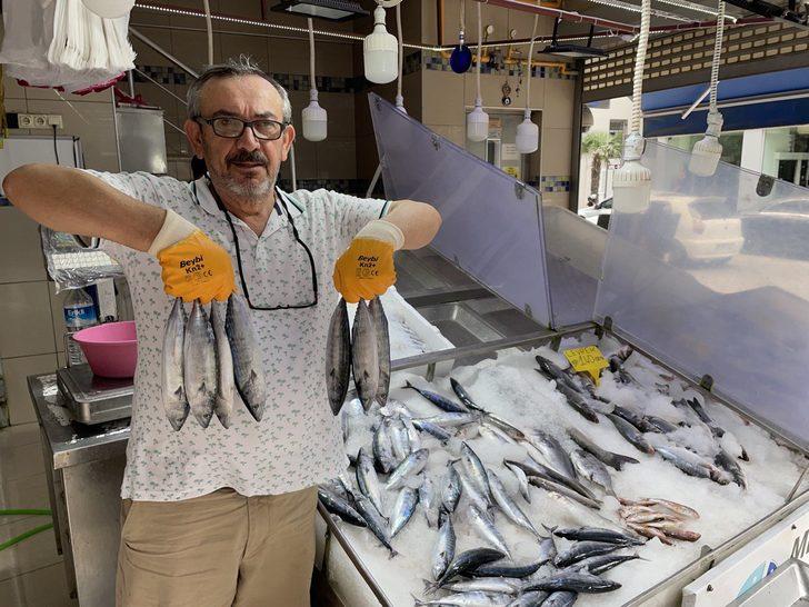 Karadeniz'de deniz suyu sıcaklığı balık avcılığını olumsuz etkiledi G3