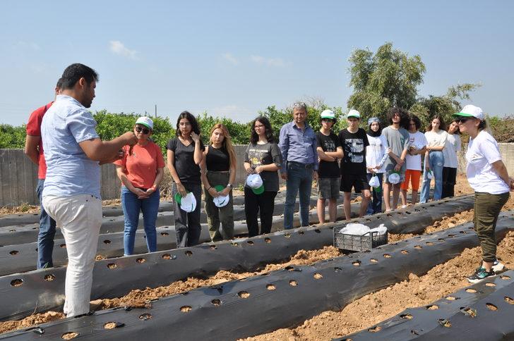 Mersin'de öğrenciler atıl durumdaki okul bahçesinde çilek yetiştirecek G2