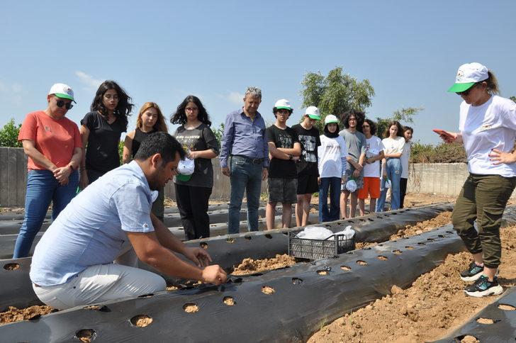 Mersin'de öğrenciler atıl durumdaki okul bahçesinde çilek yetiştirecek G3