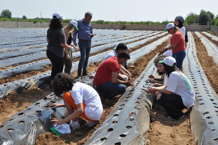 Mersin'de öğrenciler atıl durumdaki okul bahçesinde çilek yetiştirecek G5